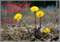 Онежская весна 2018 Онежская весна 2018